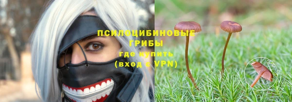 молекула духа Липки
