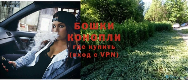 молекула духа Липки