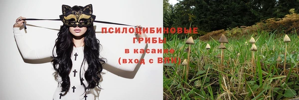 молекула духа Липки