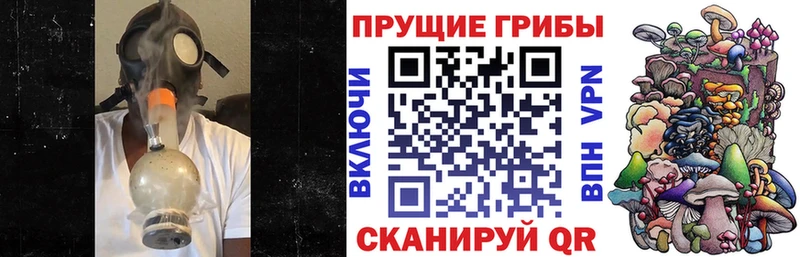Псилоцибиновые грибы мицелий  Купить где  Артёмовский 